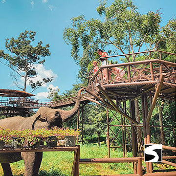 Elephant Kingdom Koh Samui - kohsamui.tours